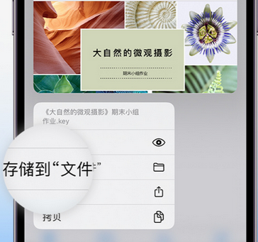 石峰apple维修中心分享iPhone文件应用中存储和找到下载文件