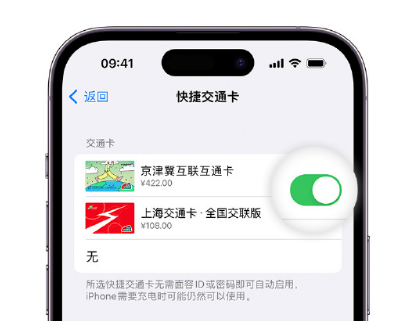 石峰apple维修点分享iPhone上更换Apple Pay快捷交通卡手绘卡面 