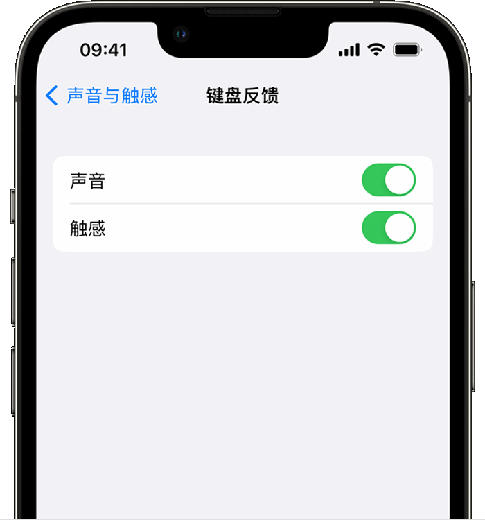 石峰苹果14维修店分享如何在 iPhone 14 机型中使用触感键盘 