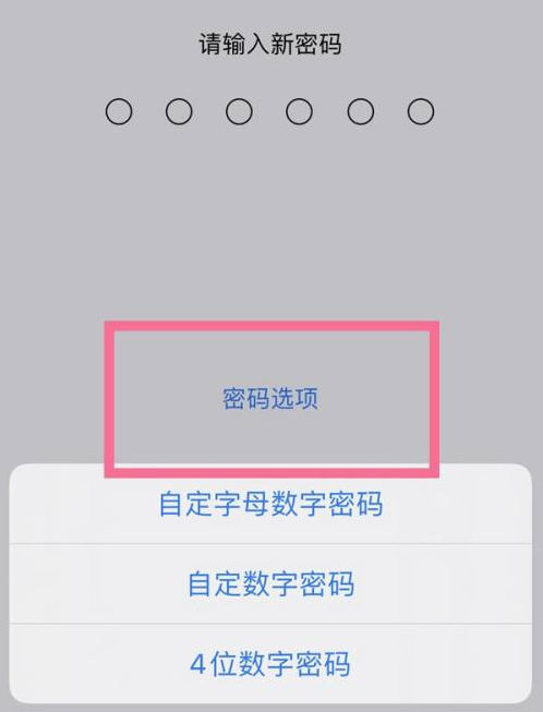 石峰苹果14维修分享iPhone 14plus设置密码的方法 