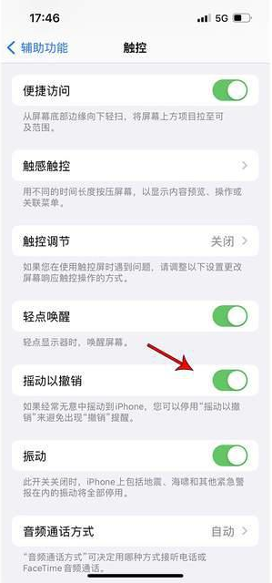 石峰苹果手机维修分享iPhone手机如何设置摇一摇删除文字 